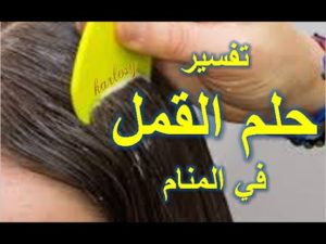 تفسير حلم القمل في المنام