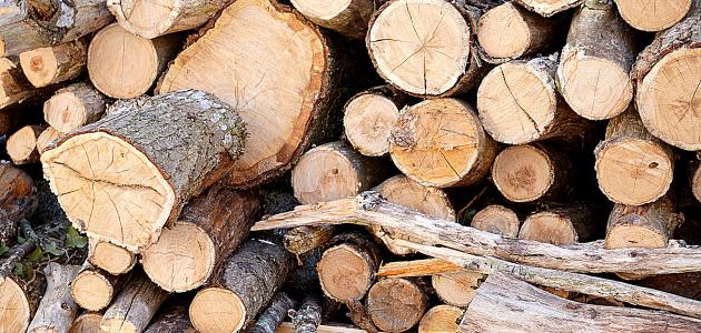 تقرير عن الاخشاب