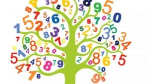 تقرير عن الرياضيات