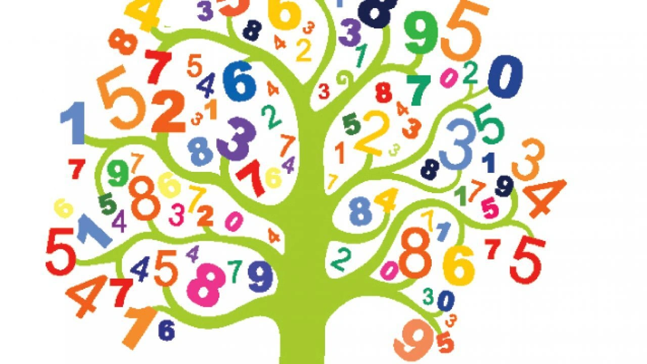 صورة تقرير عن الرياضيات