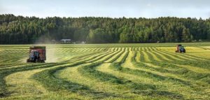 تقرير عن الفلاحة