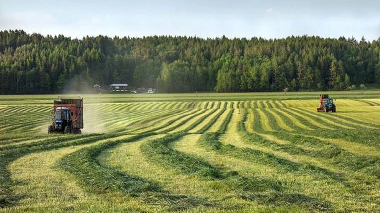 صورة تقرير عن الفلاحة