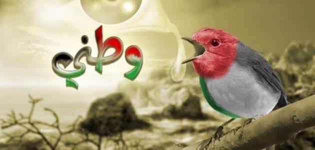 تقرير عن الوطن