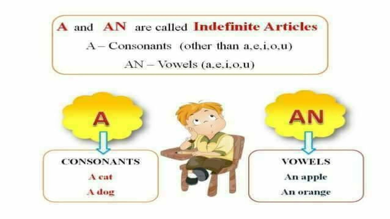 صورة تمارين على قاعدة a an