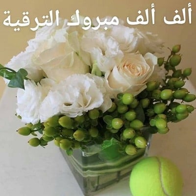 تهنئة ترقية