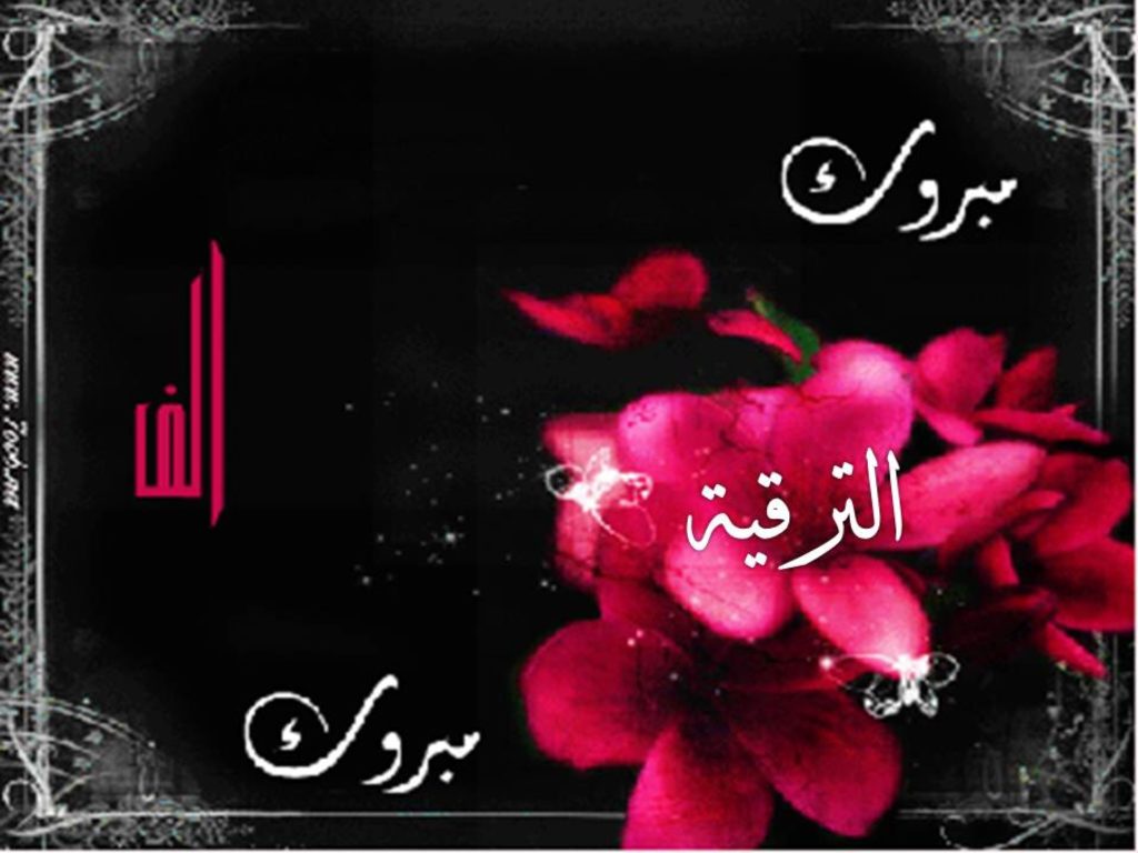 تهنئة رسمية بمناسبة عيد الفطر المبارك