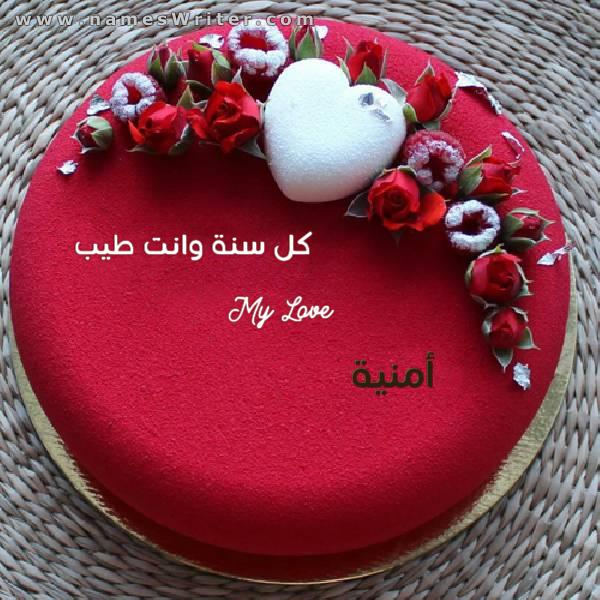 تهنئة عيد ميلاد باسم امينة
