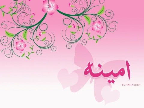 تهنئة عيد ميلاد باسم امينة