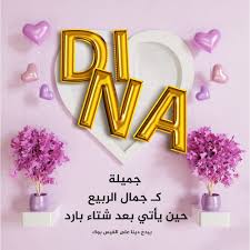 تهنئة عيد ميلاد باسم دينا