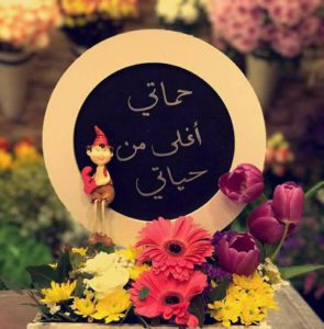 تهنئة عيد ميلاد حماتي