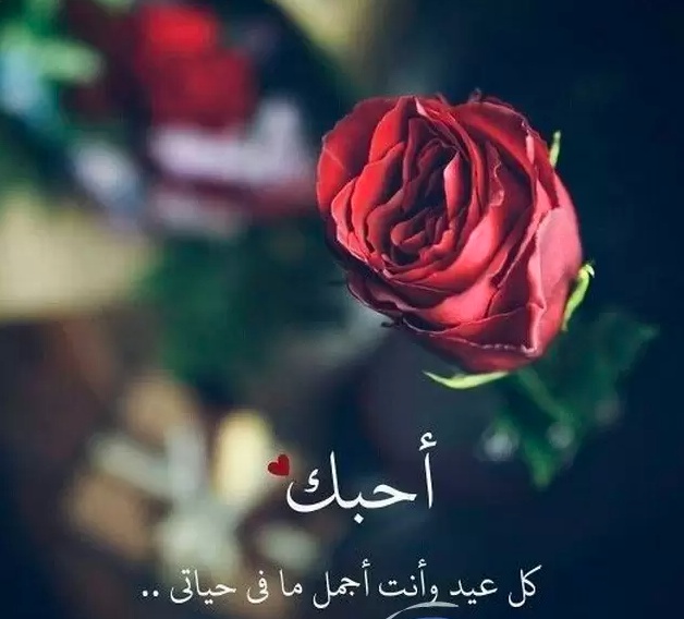 تهنئة عيد ميلاد رومانسية