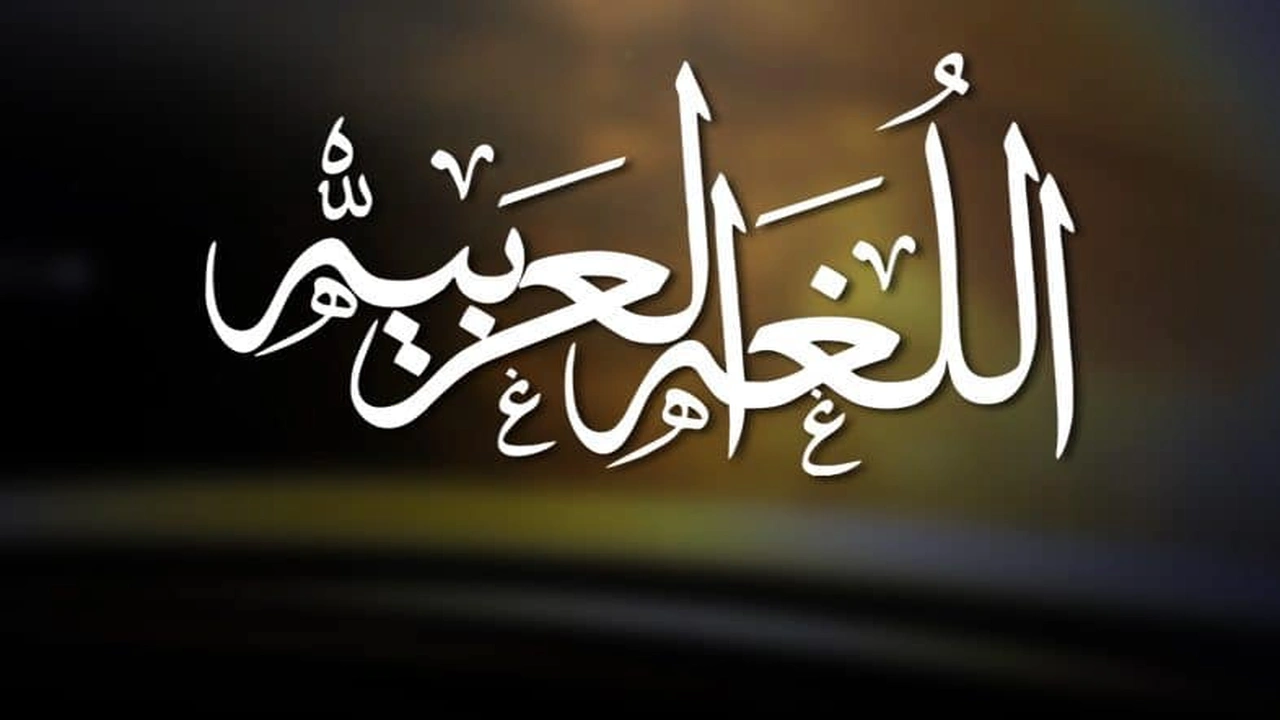صورة جمل فيها ثلاث مفاعيل
