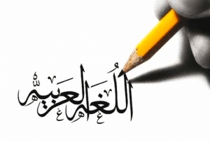جمل فيها ربما وقد