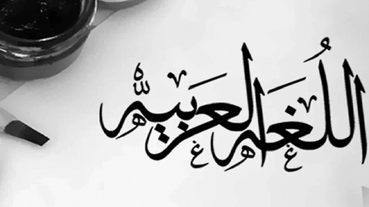 صورة جمل فيها شمال