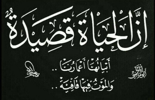 جمل فيها قافية