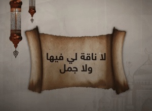 جمل فيها لا
