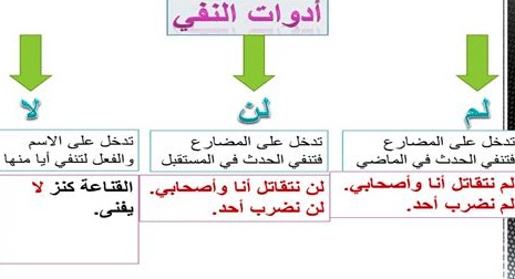جمل فيها لم