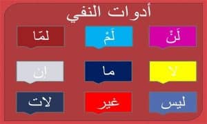 جمل فيها لم