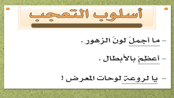 جمل فيها ما اجمل
