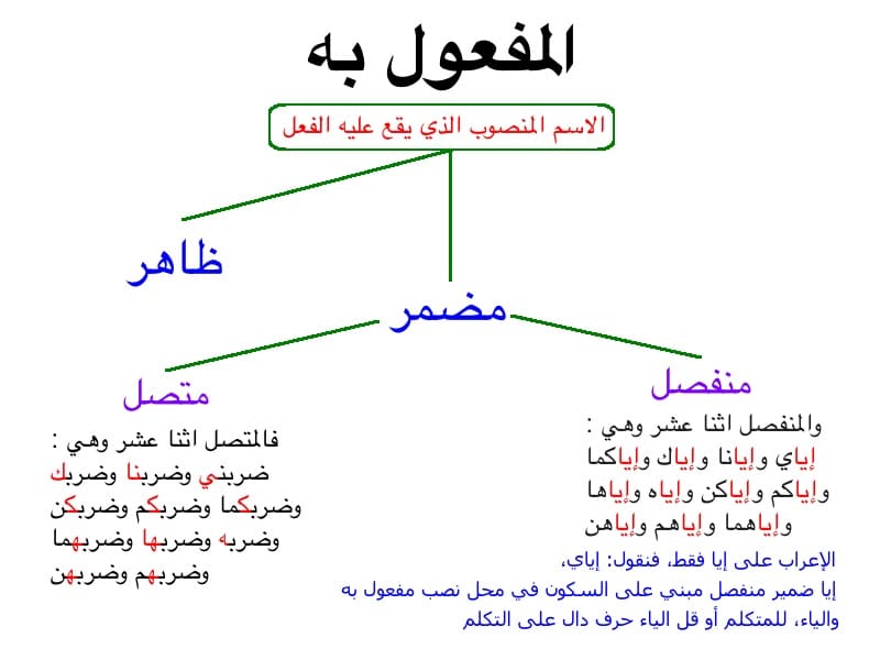 جمل فيها مفعول به