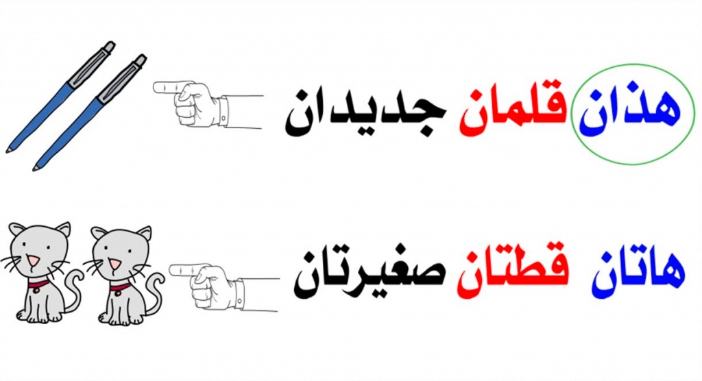 جمل فيها هذان وهاتان