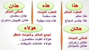 جمل فيها هذان وهاتان