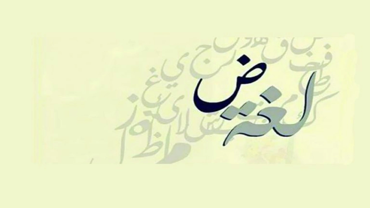 صورة جملة فيها زاد