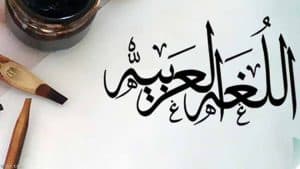 جملة فيها لكن
