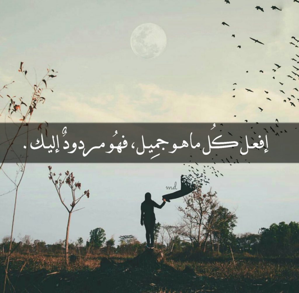 حالات واتس اب جديد شديد