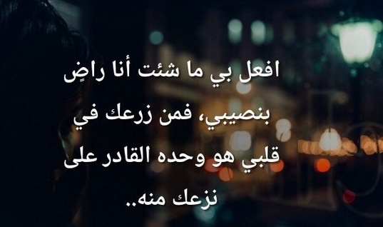 حالات واتس اب جديد شديد