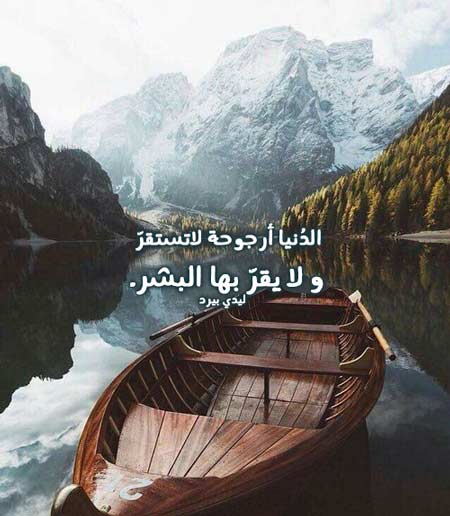 حالات واتس اب جديد شديد