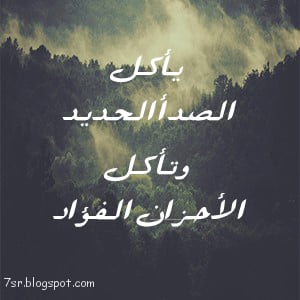 حالات واتس اب جديد شديد