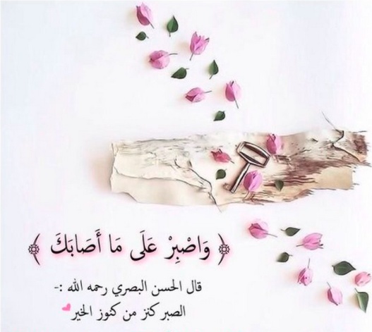 حالات واتس اب جديد شديد