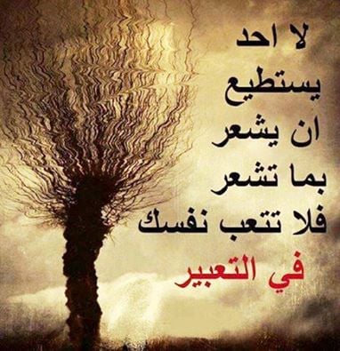 حالات واتس اب جديد شديد