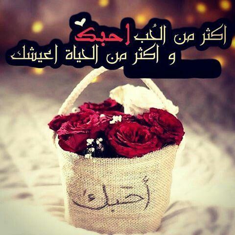حالات واتس اب جديدة
