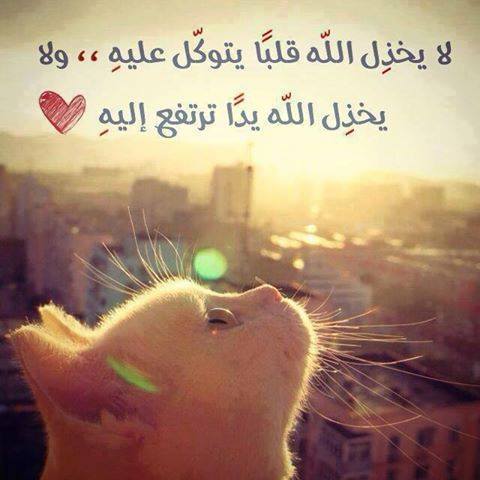 حالات واتس اب جديدة