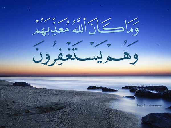 حالات واتس اب جديدة
