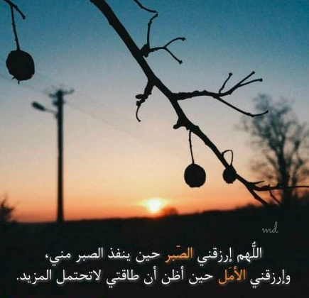 حالات واتس اب جديدة
