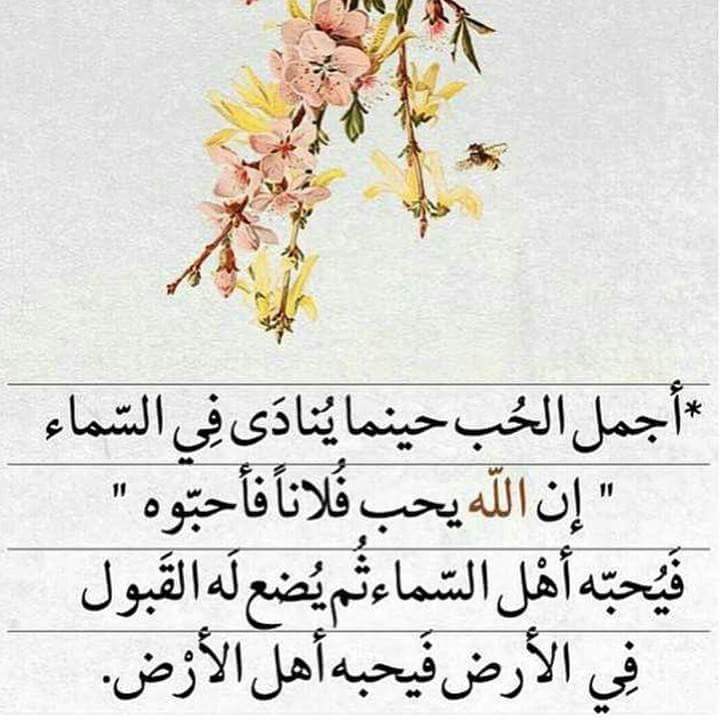 حالات واتس اب جديدة