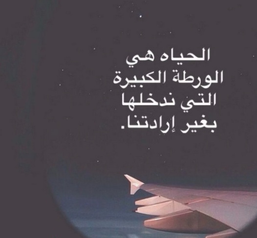 حالات واتس اب جديدة