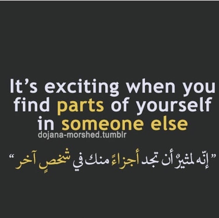 حالات واتس اب حب بالانجليزي ومعناها بالعربي جديدة 