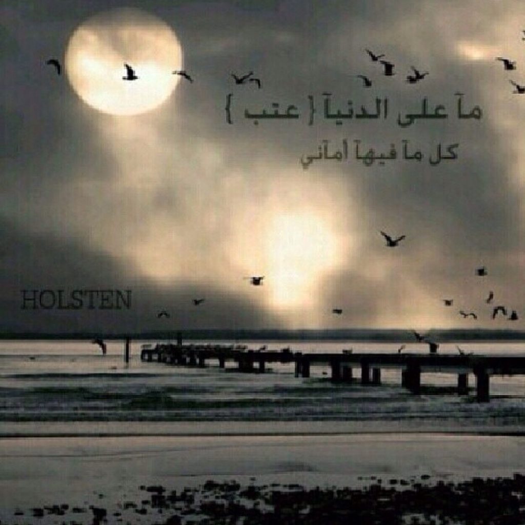 حالات واتس اب حكم قويه
