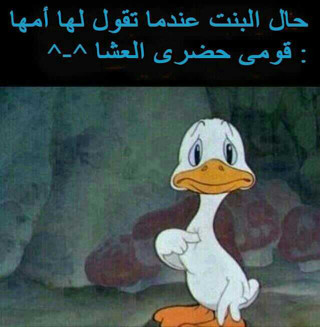 حالات واتس اب كتابة مضحكة