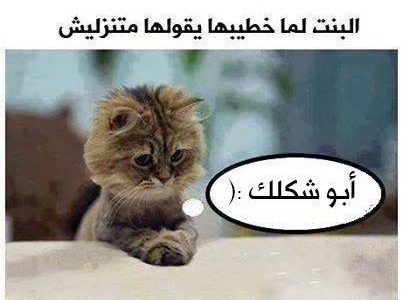 حالات واتس اب كتابة مضحكة