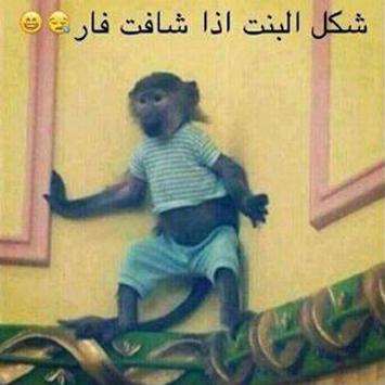حالات واتس اب كتابة مضحكة