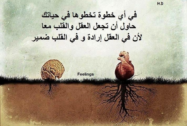 حالات واتس اب كتابة