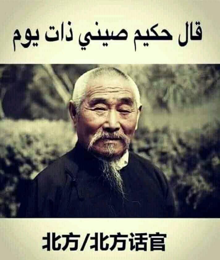 حالات واتس اب مضحكة قصيره