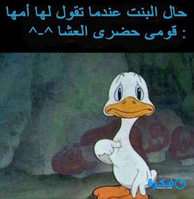 حالات واتس اب مضحكة قصيره