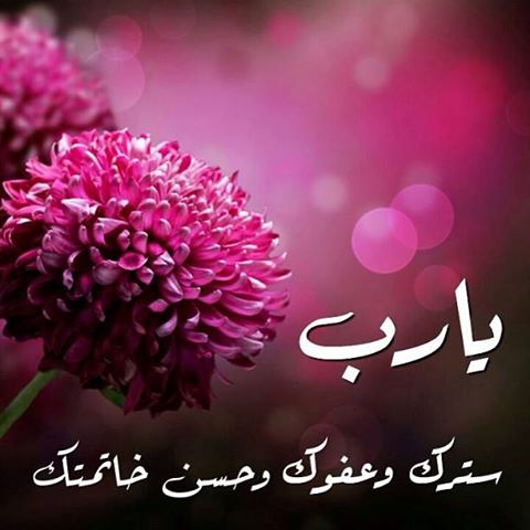 حالات واتس اب