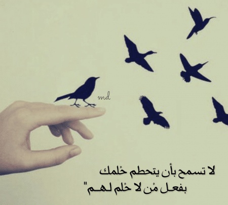 حالات واتس اب
